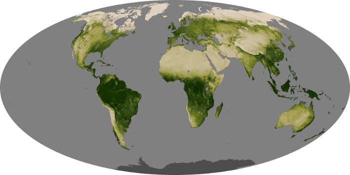 Vegetation across the globe in April 2022 showing densest vegetation around the equator